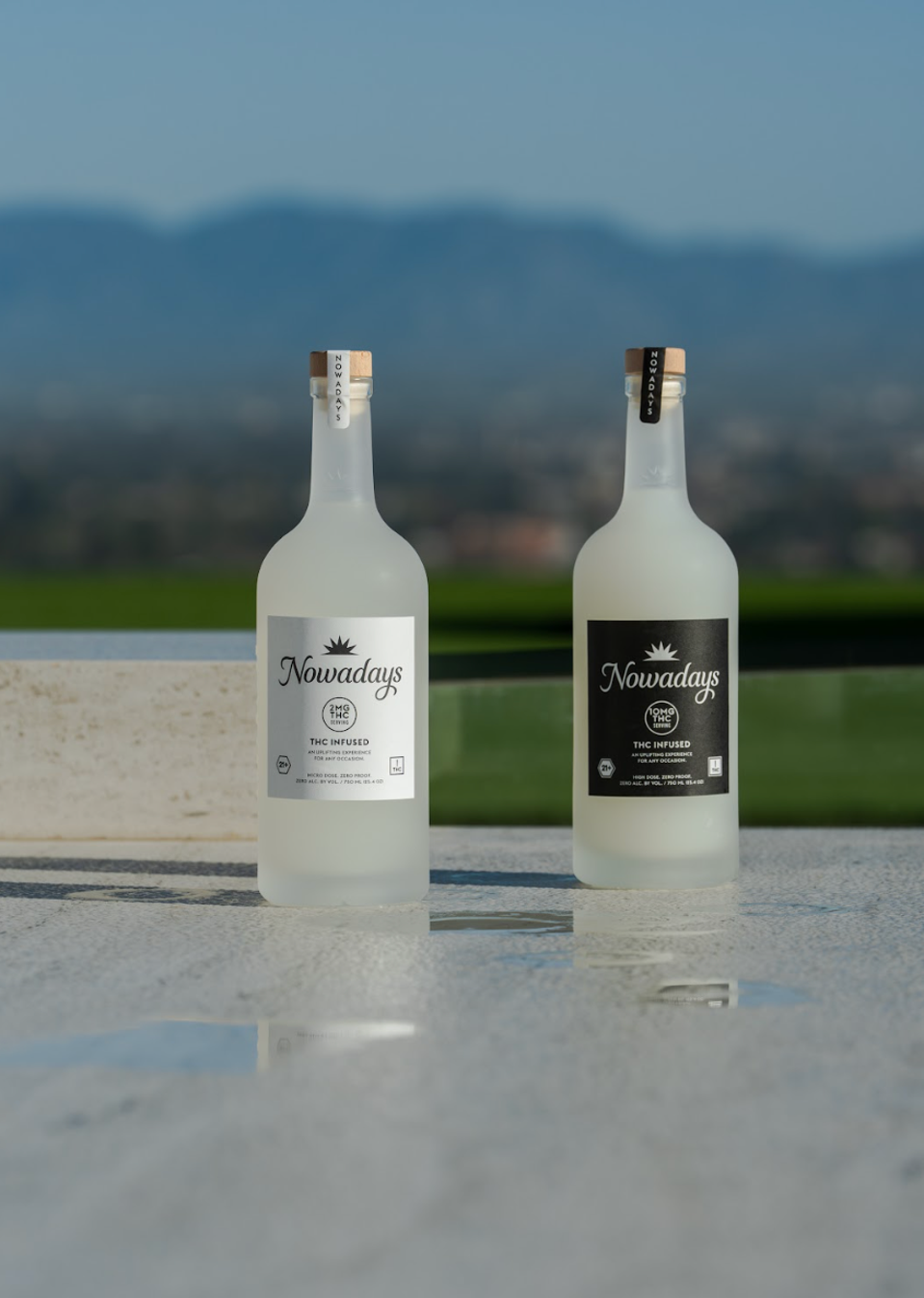 Creative Recipes with Nowadays